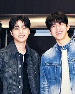 저화질의 독앤캣 tweet media