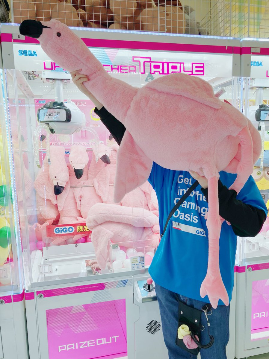 .＊ 居眠りフラミンゴ ＊. 爆でか！寝そべるフラミンゴぬいぐるみ 入荷いたしました