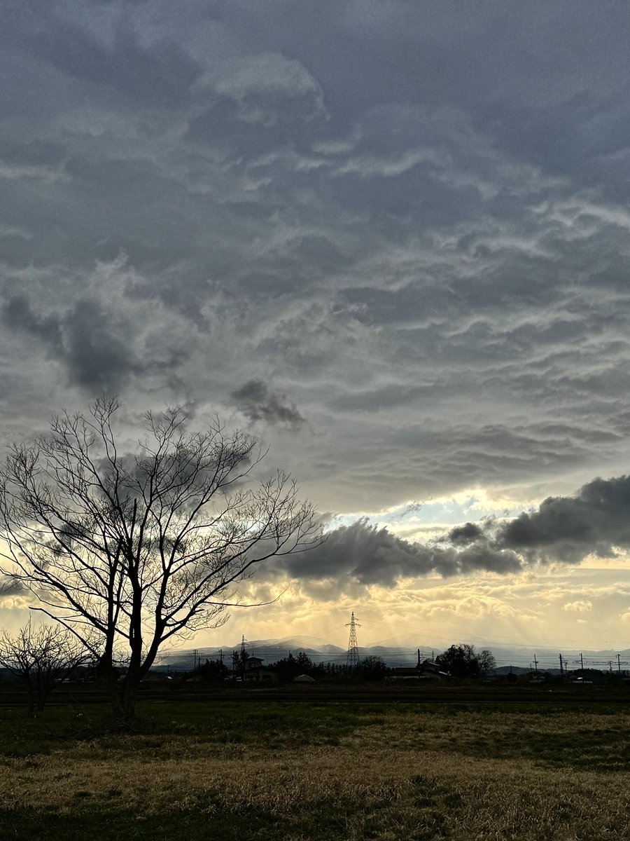 佐々木小次郎 tweet media