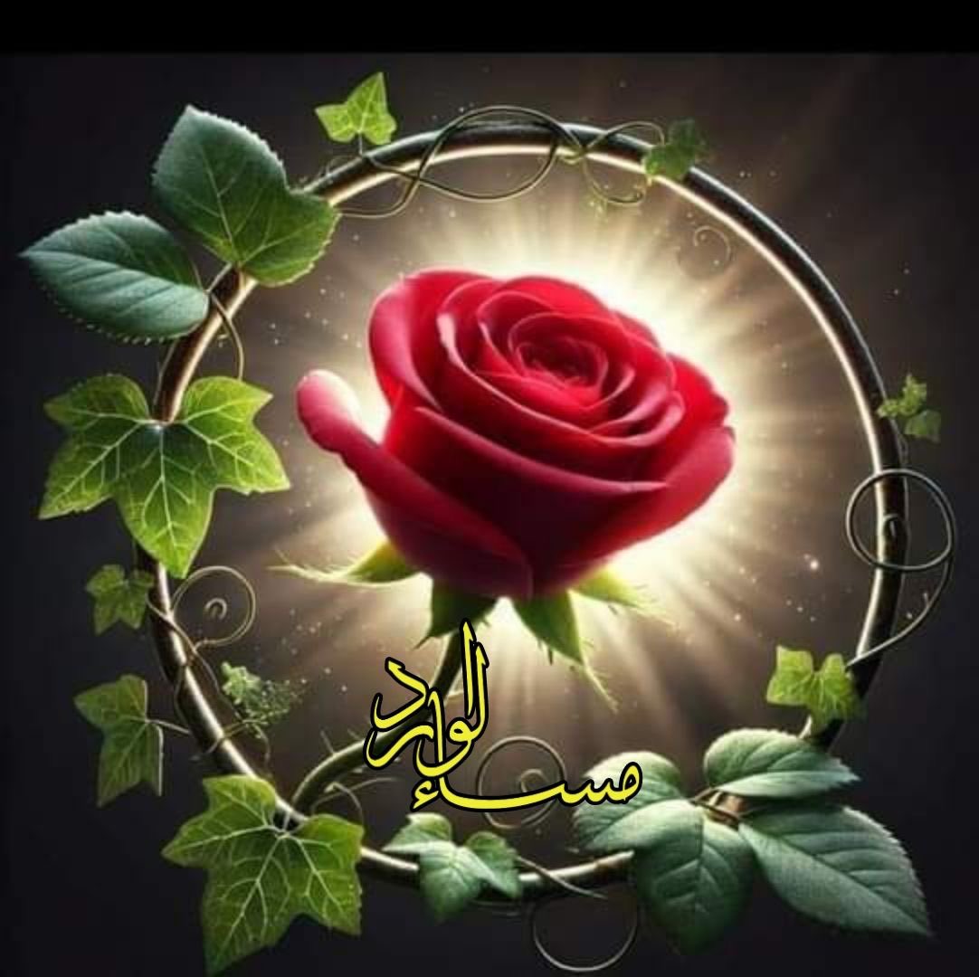 🦋🕊️❤️🇰🇼كويتاويه 🇰🇼 tweet media