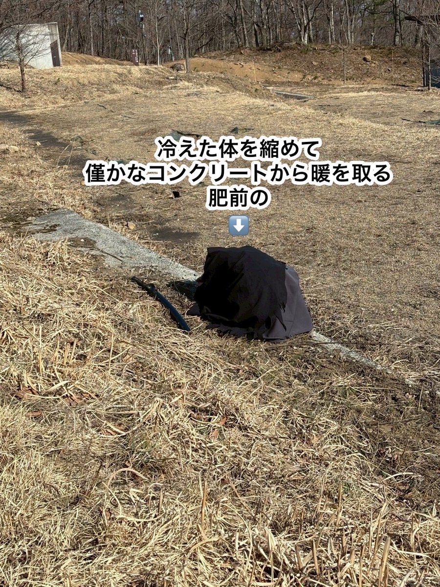 くろきの tweet media