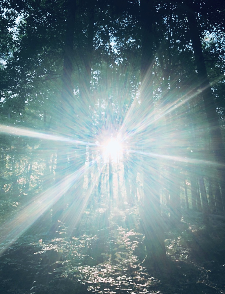 Vicky Helms tweet media