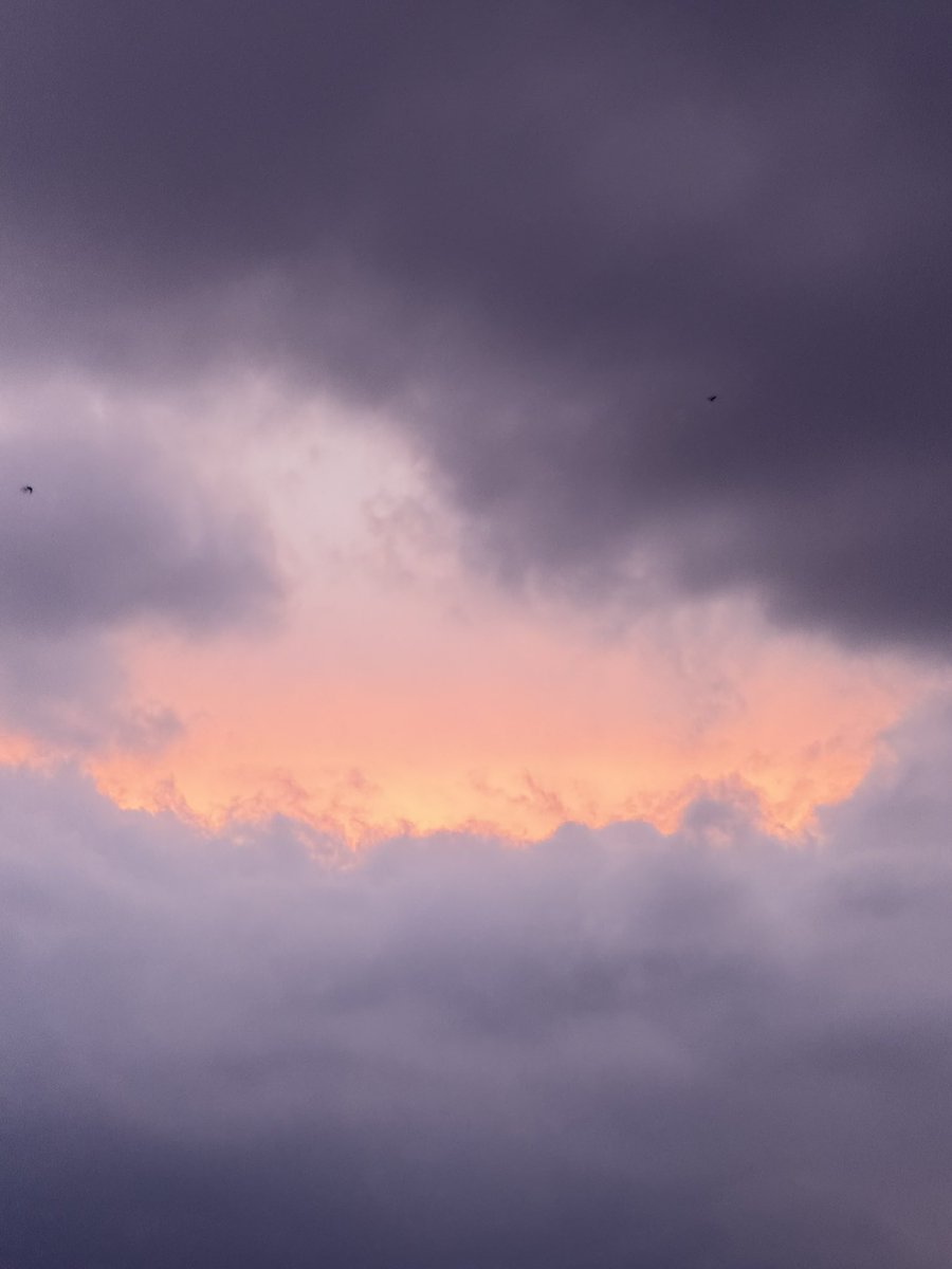WItE8WmMIQ31918's tweet image. パープルヘイズみたいな空にゃ後おるで
#イマソラ　#キリトリセカイ　#紫