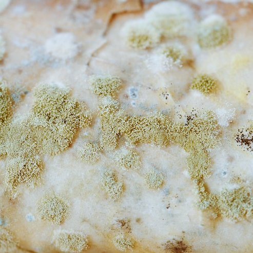 Regan MARKLE tweet media