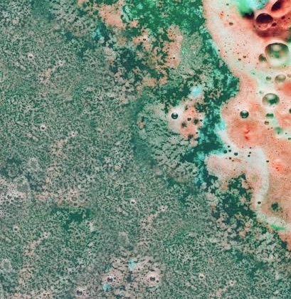 Regan MARKLE tweet media