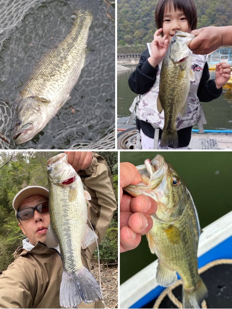 釣船小川亭@相模湖 tweet media