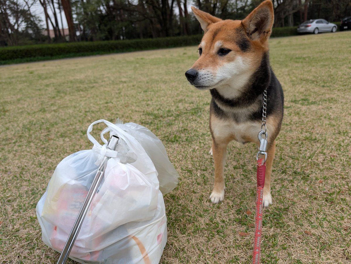 花笑婆（ﾊﾅｻｹﾊﾞｰ） tweet media