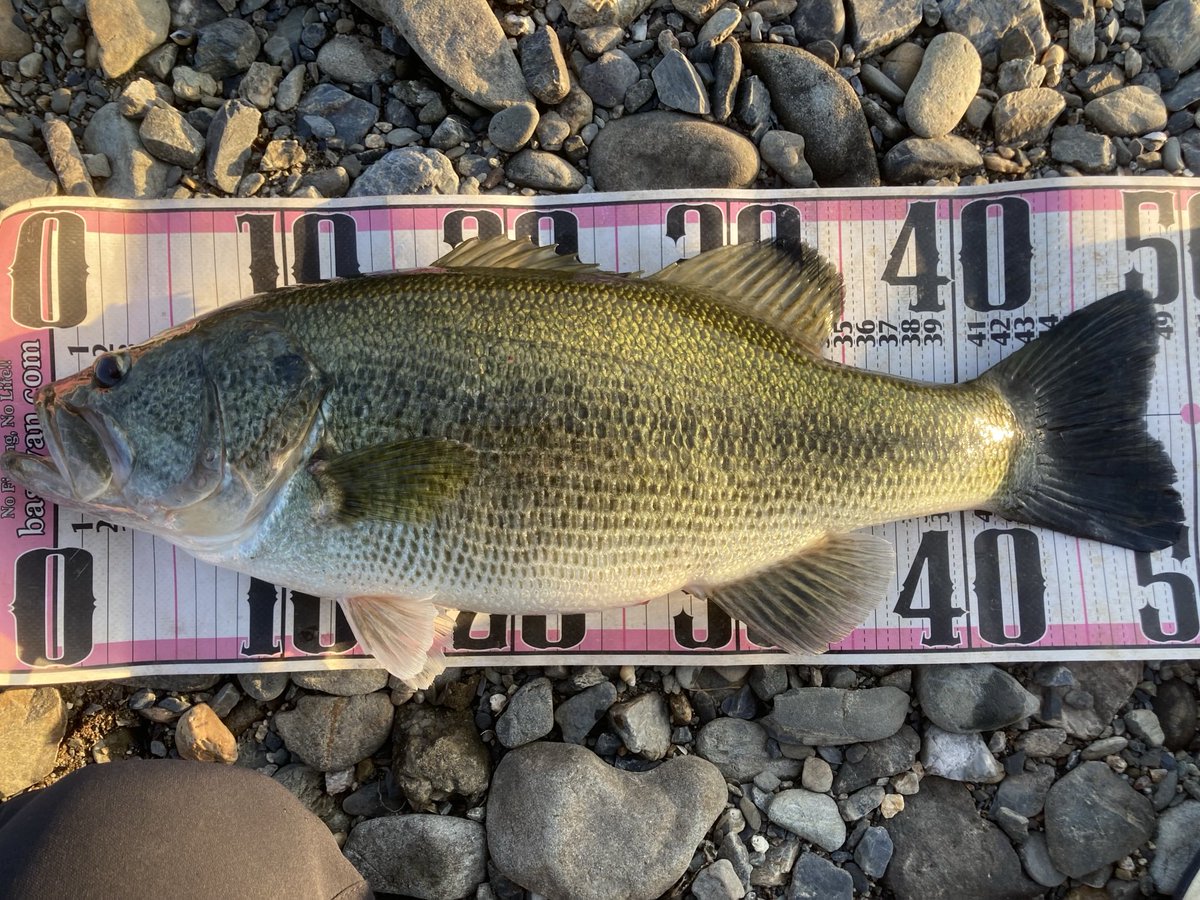 お菓子屋TETSU tweet media