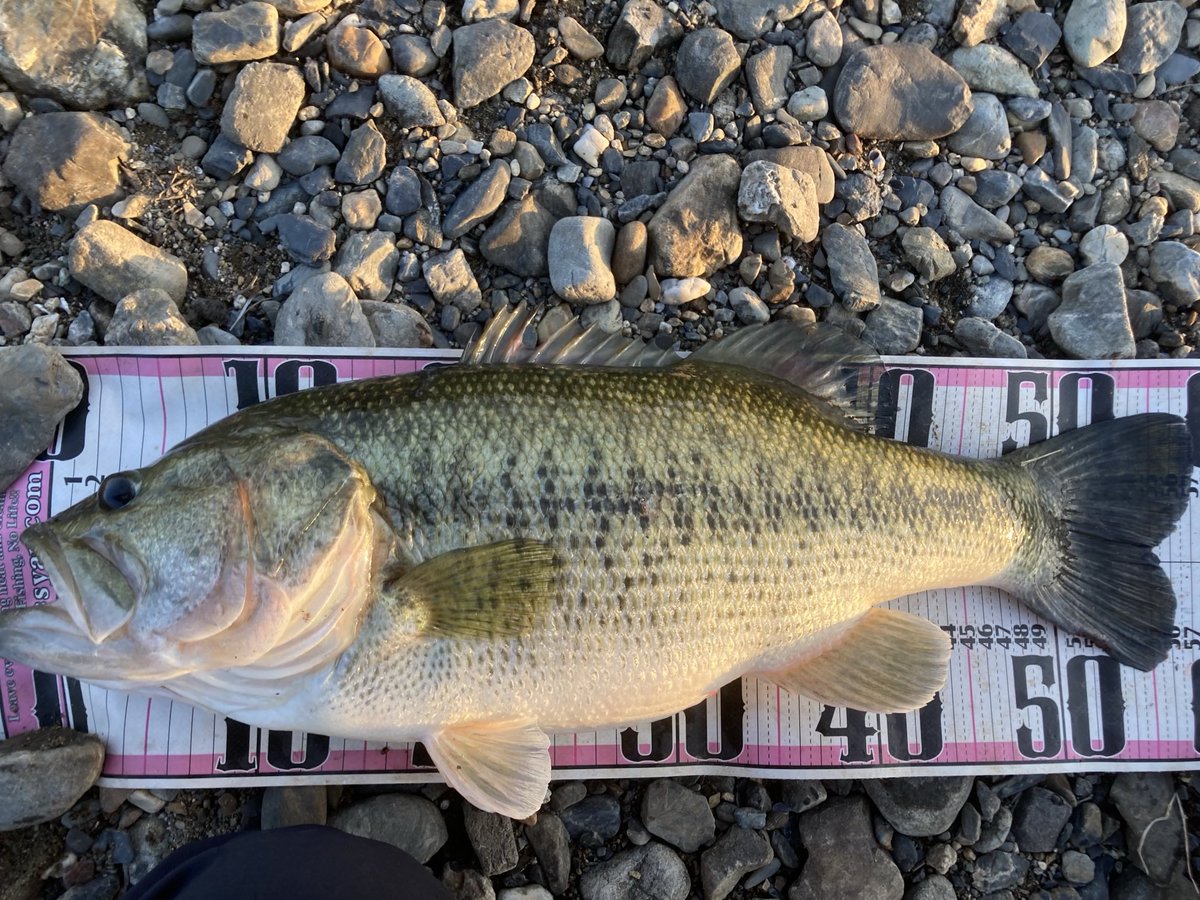 お菓子屋TETSU tweet media