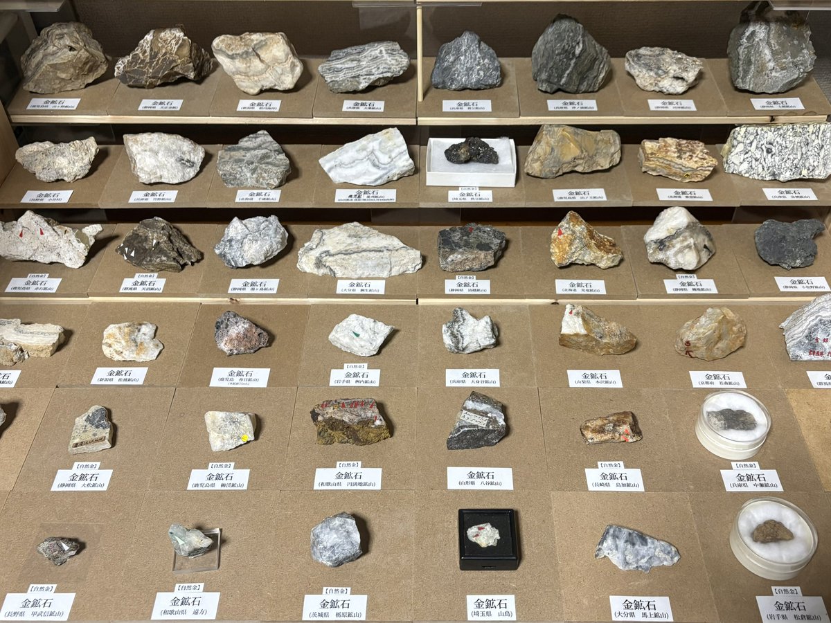 ✨金鉱石コレクション✨ 金鉱石と言っても産出する鉱山や条件によって