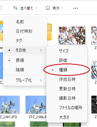 いつ変わったかは知らんけどエクスプローラーで表示されるファイルの並べ替え選択肢でよく使ってた「種類」が、その他に入ってしまってる。
プログラマ的には要らんものなのか。使用しなくなったRAWをまとめて消す時に使ってるんだけど・・・