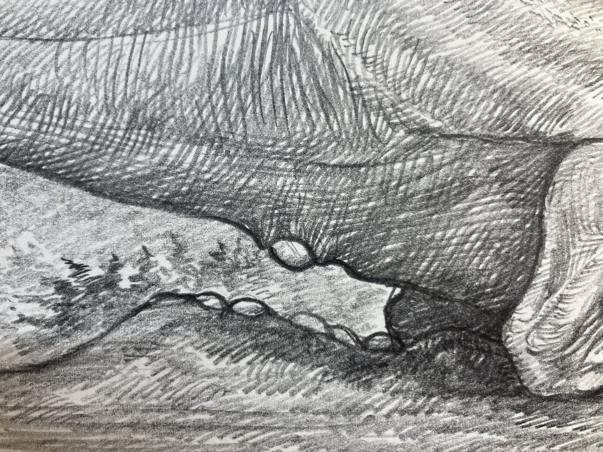 小田　隆　Oda Takashi tweet media