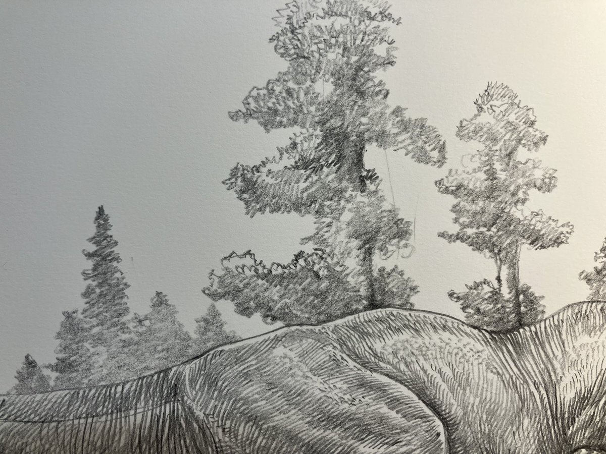 小田　隆　Oda Takashi tweet media