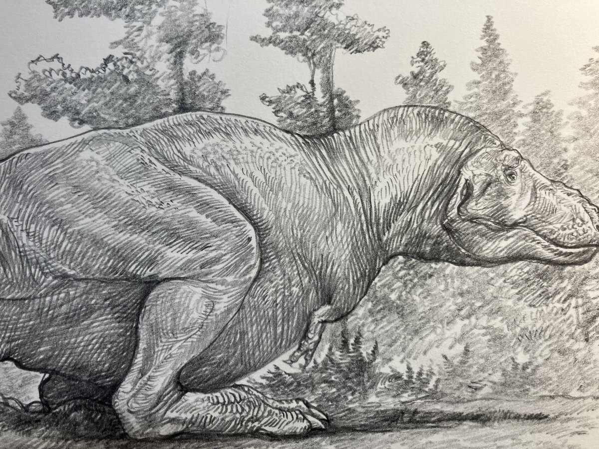 小田　隆　Oda Takashi tweet media