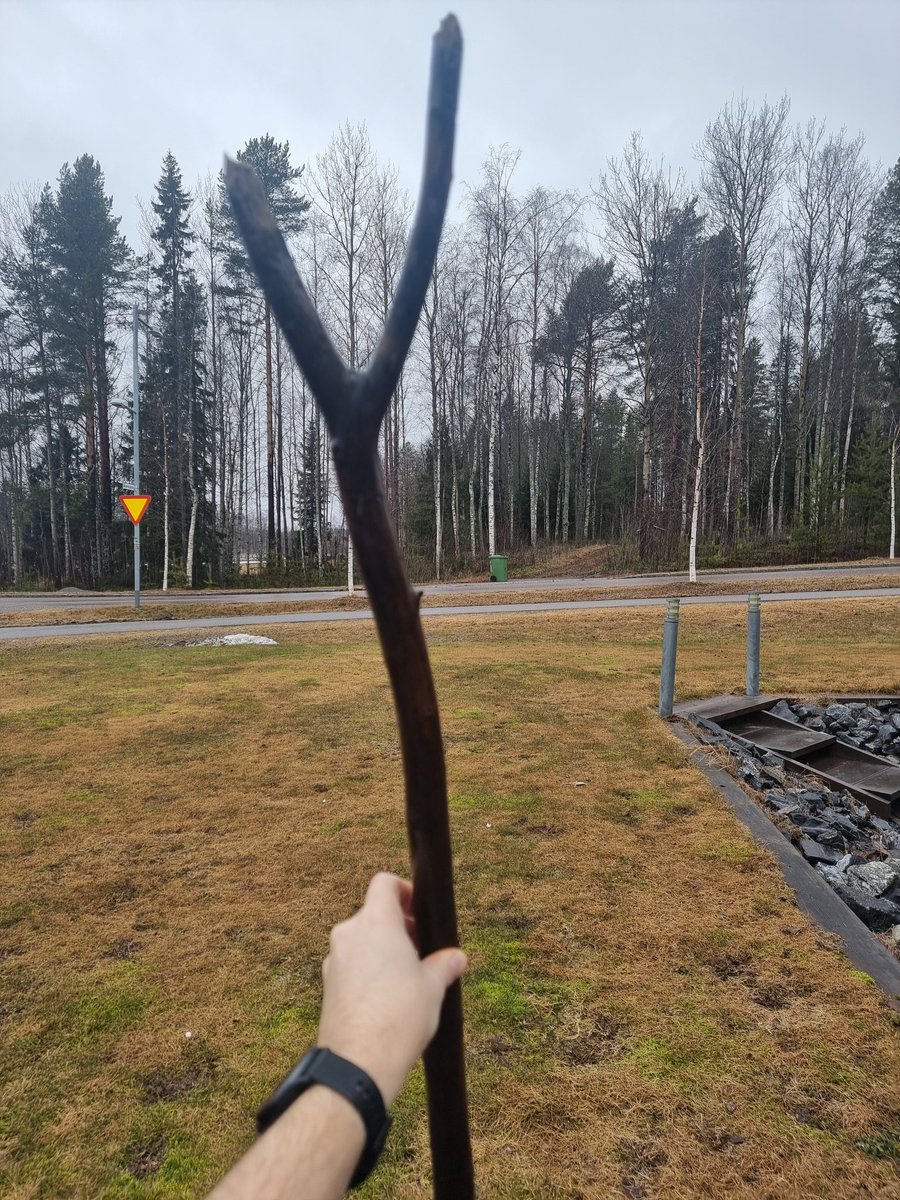 Miguel de Lys ⚜️ tweet media