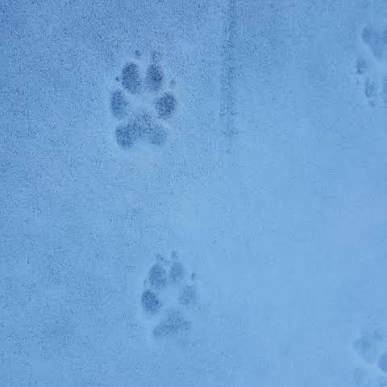 olive ♡ 🦦 tweet media