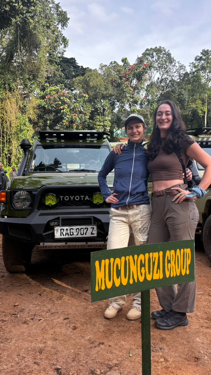 Bwindi Gorilla Trekking Safari Company tweet media