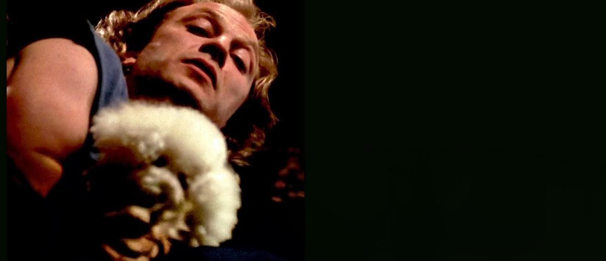 Evlyne Metal (Officiel)🇨🇵🇬🇱 tweet media