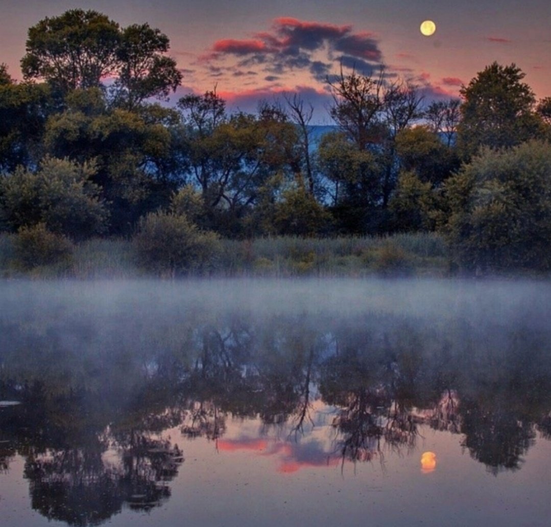 Miep51082958's tweet image. #Dawn  #Serenity  #Reflection