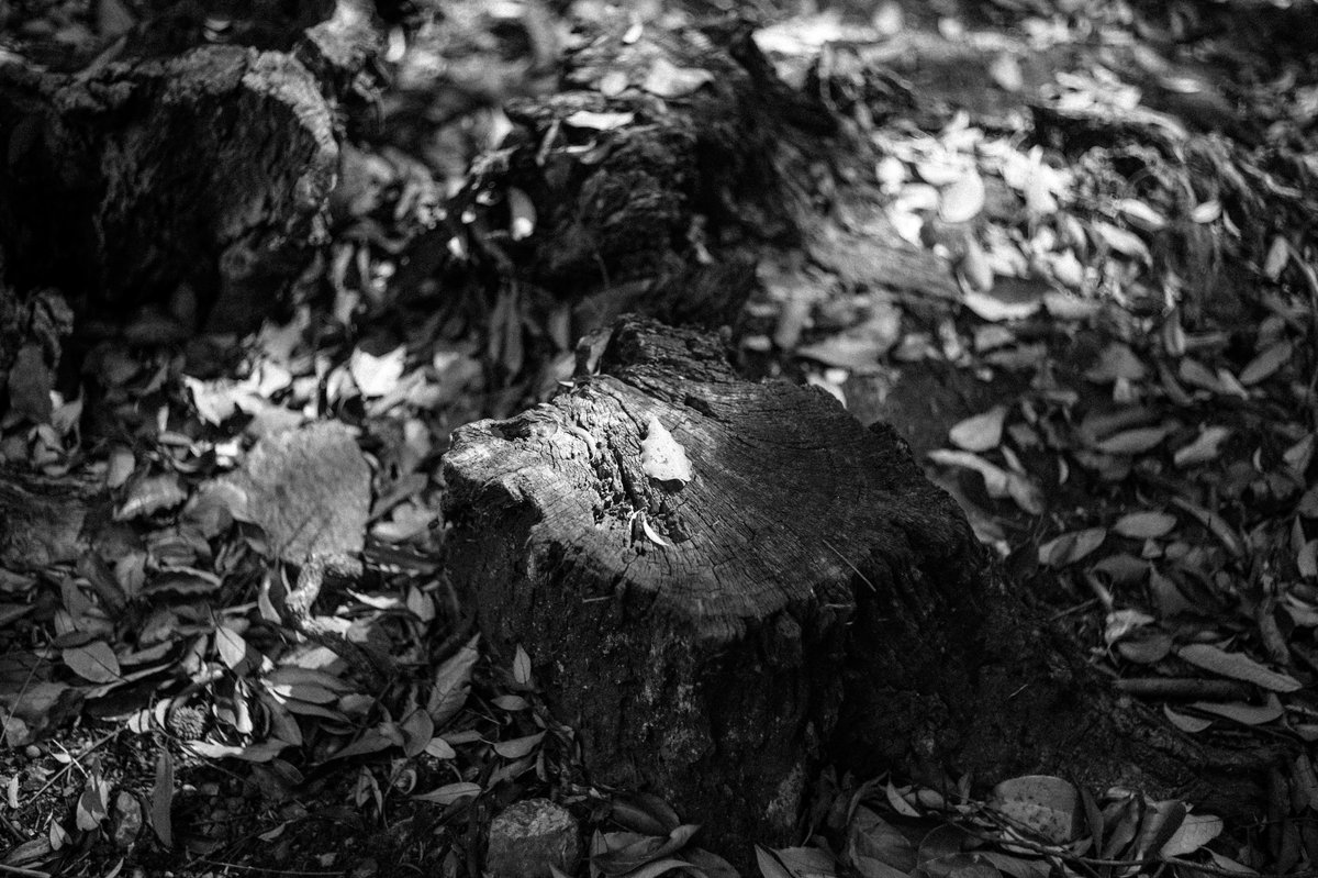 JACK井上 tweet media