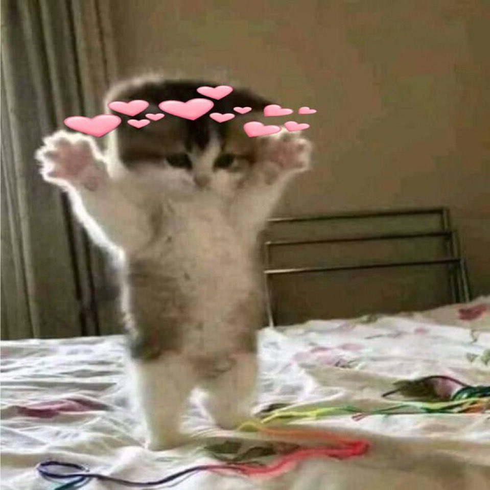 april ⚢ tweet media