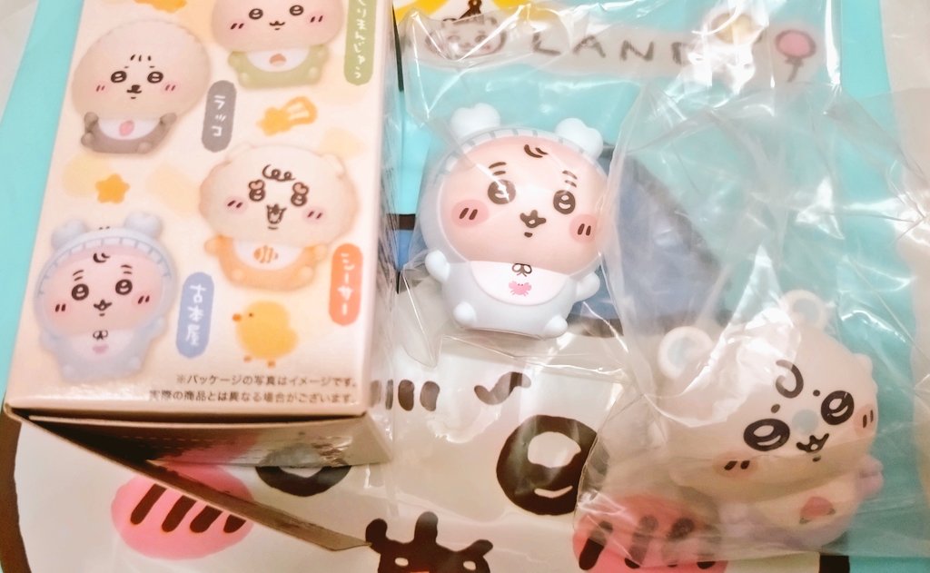 chie★🏠🐖🐩💛 tweet media