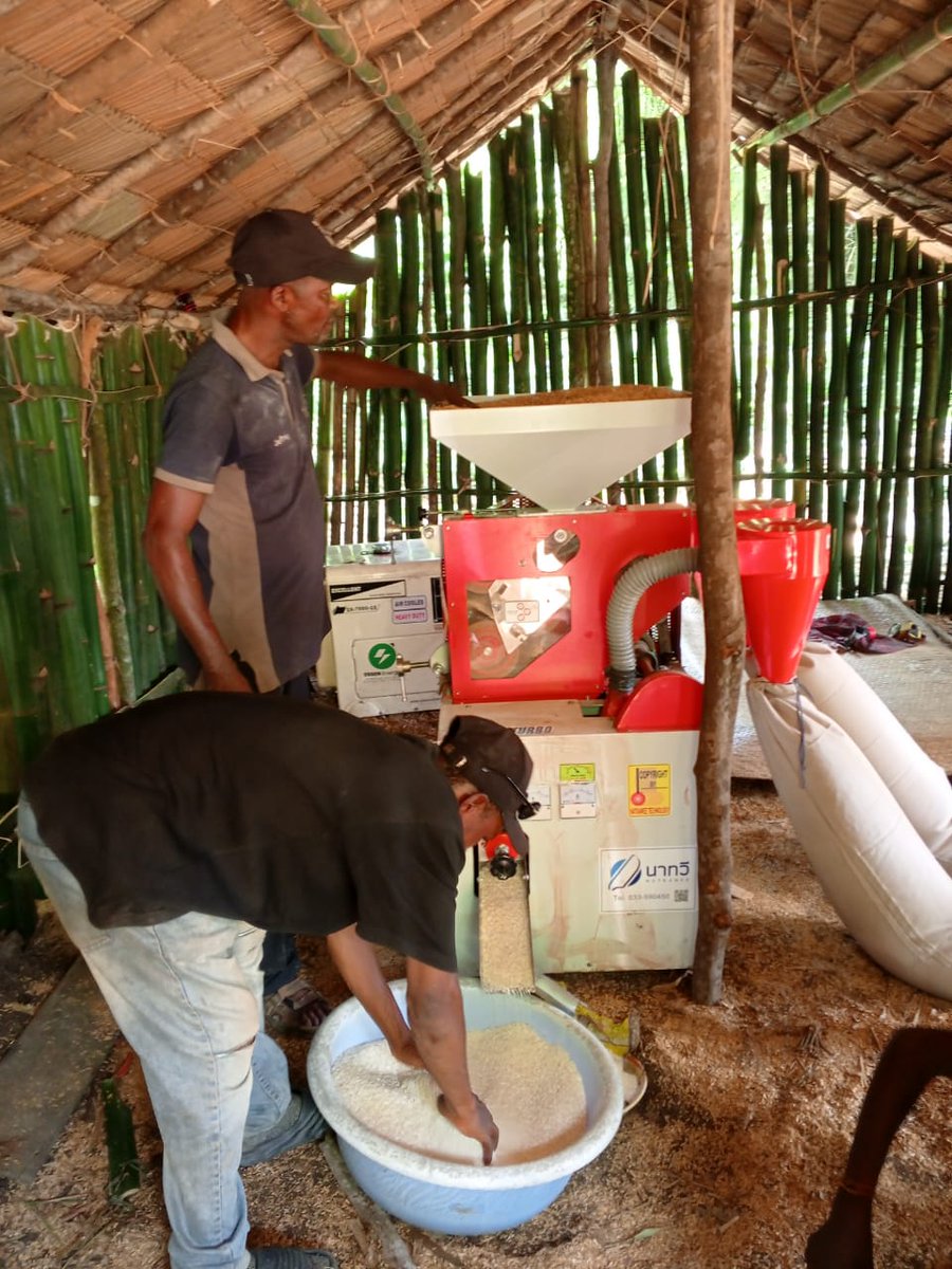 WWF_RDCongo's tweet photo. Dans la périphérie du Parc National de la #Salonga, l'ONG ISCO a mis en service 60 unités de transformation agricole pour renforcer les revenus des communautés locales et réduire la pression sur les ressources naturelles.
- Plus de valeur ajoutée pour les producteurs.
- De meilleurs revenus pour les ménages.
- Moins de pression sur le parc.
Les unités de transformation agricole mises en service autour du #Salonga contribuent ainsi à faire  la différence. Lire sur notre site: https://t.co/huHO2ZlLBy