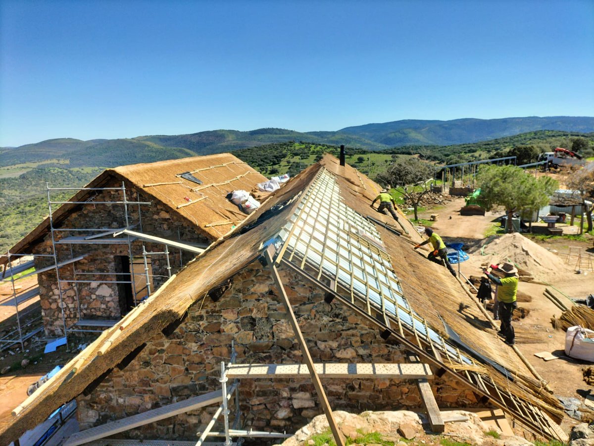 CapeReed's tweet image. It’s the details most people never see…

The way each bundle is placed.
The precision behind every structure.
That’s what makes the difference.

capereed.com/thatched-gazeb…

#Craftsmanship #Thatch #Thatching