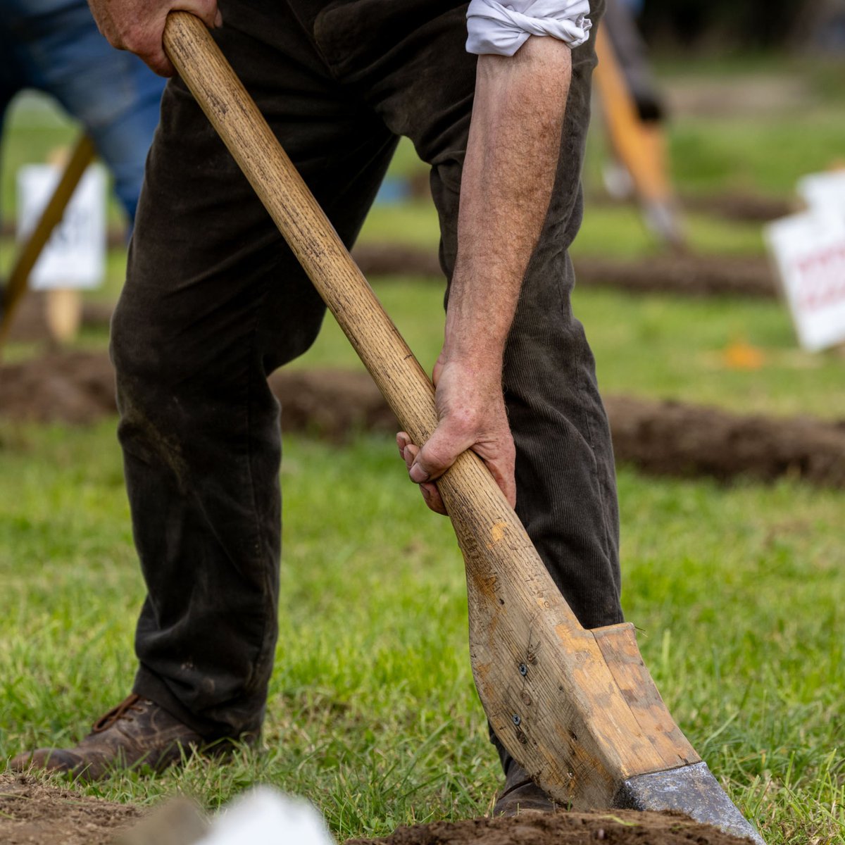 National Ploughing tweet media