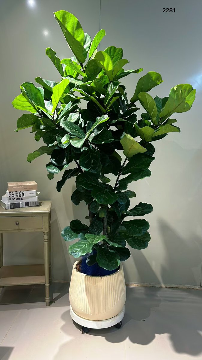 Robbie Porter tweet media