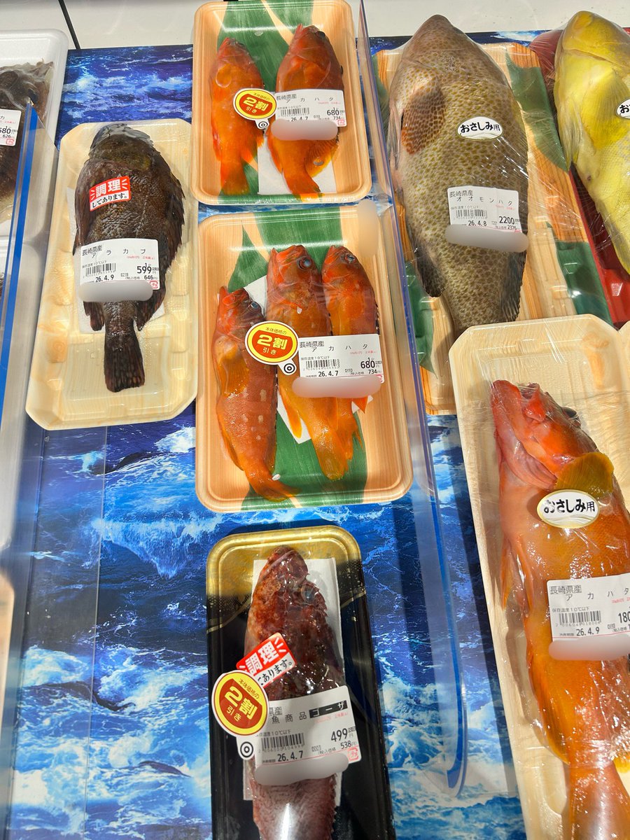 moritarolagoon's tweet photo. まじでさぁ〜💦
こんな15cmもないアカハタ獲るなって😅
近所のスーパーで見てビックリした
しかも売れ残ってるし
まぁ買わんけど https://t.co/klOWOdS4t1