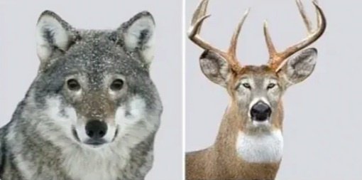 다래빛 tweet media