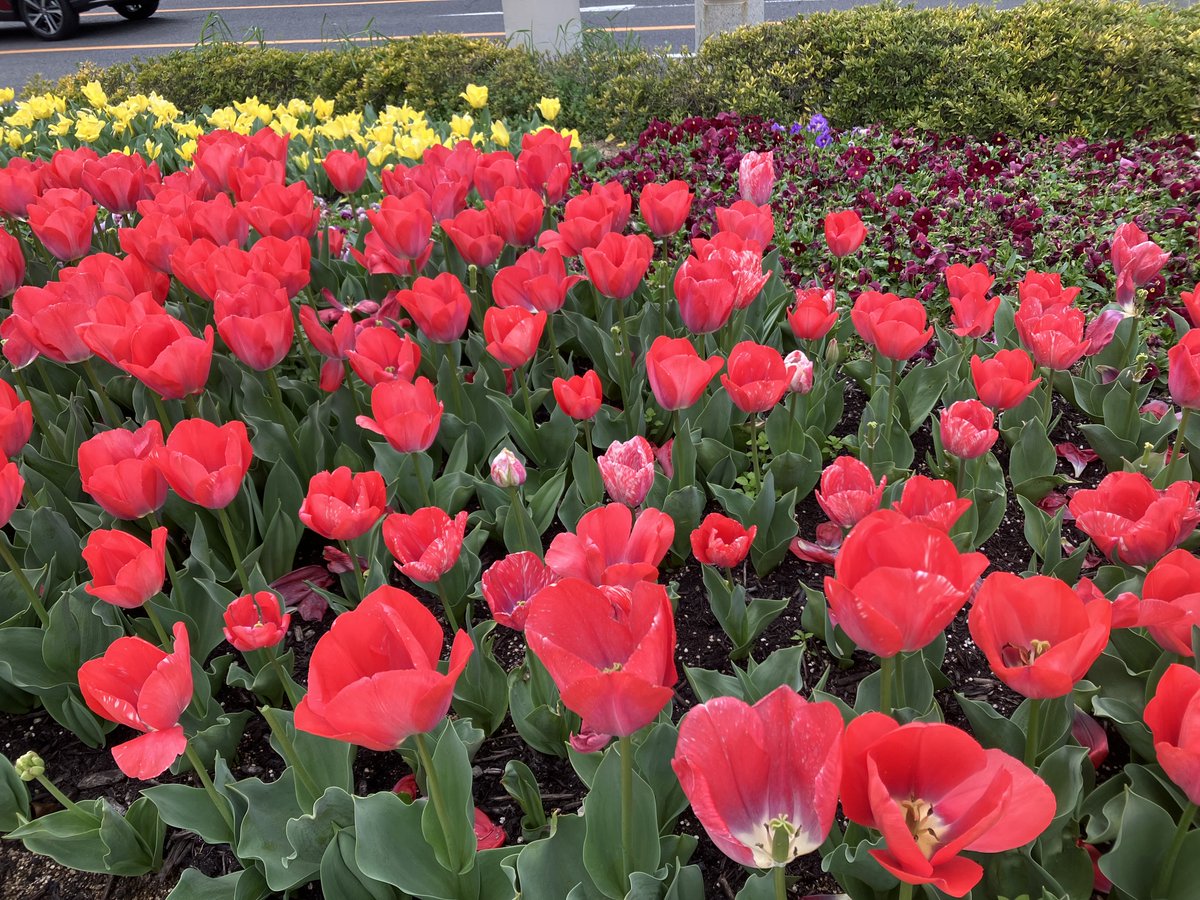 水玉おじ tweet media