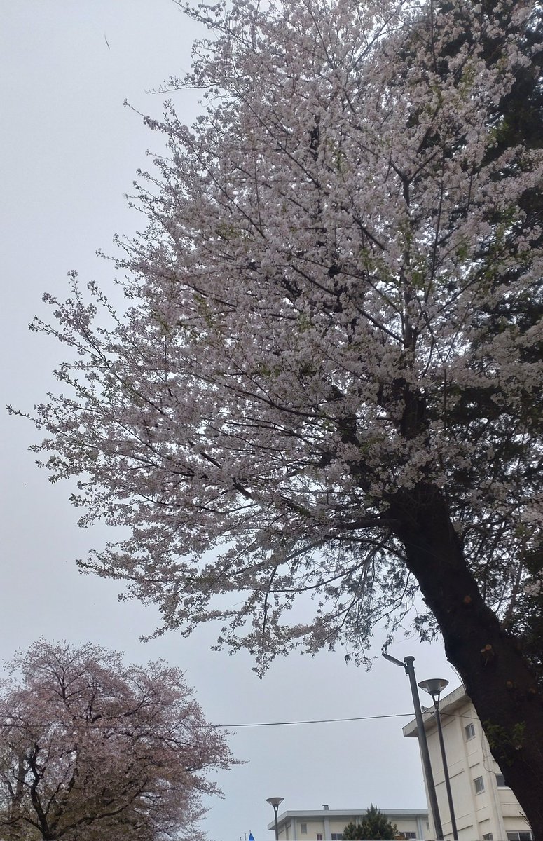 🧢🐨🛹ふじえ🐩🧨🐬🐉😈💥 tweet media