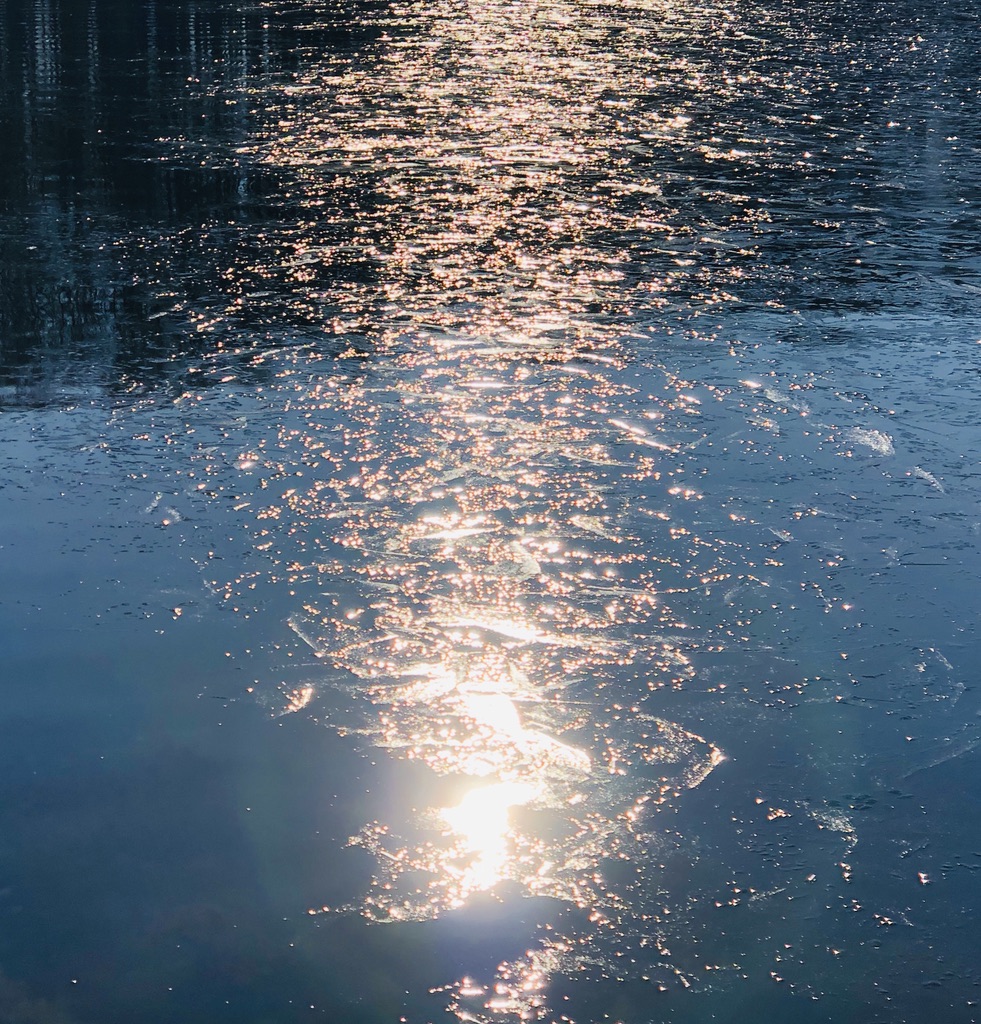 Vicky Helms tweet media