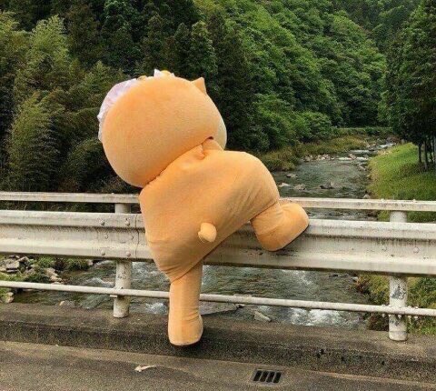 The Filé in Your Gumbo tweet media