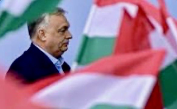 Fromager Marc tweet media