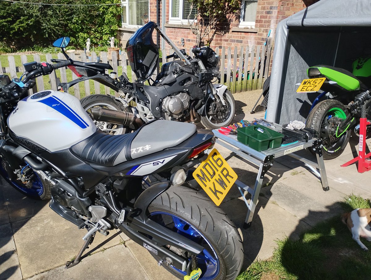 Timothy Carmichael tweet media