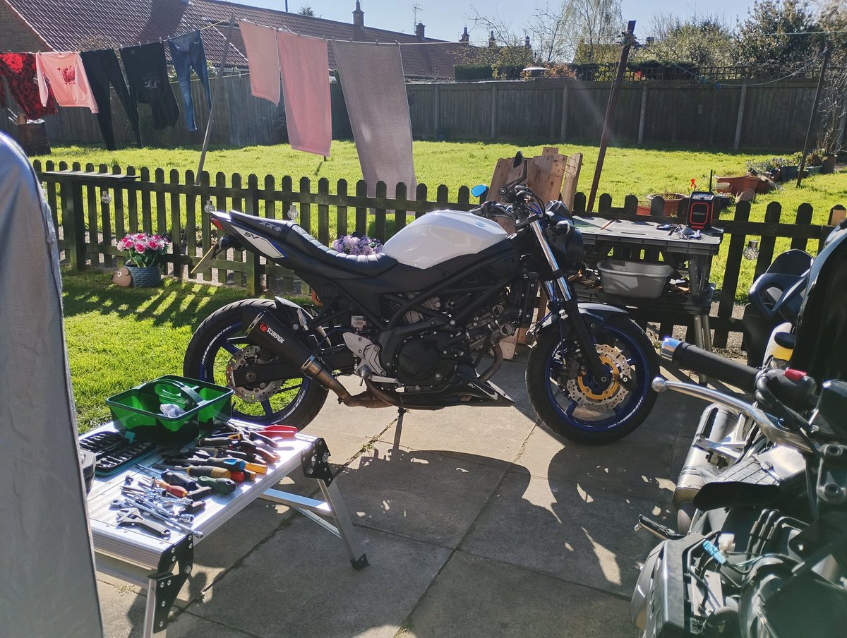 Timothy Carmichael tweet media