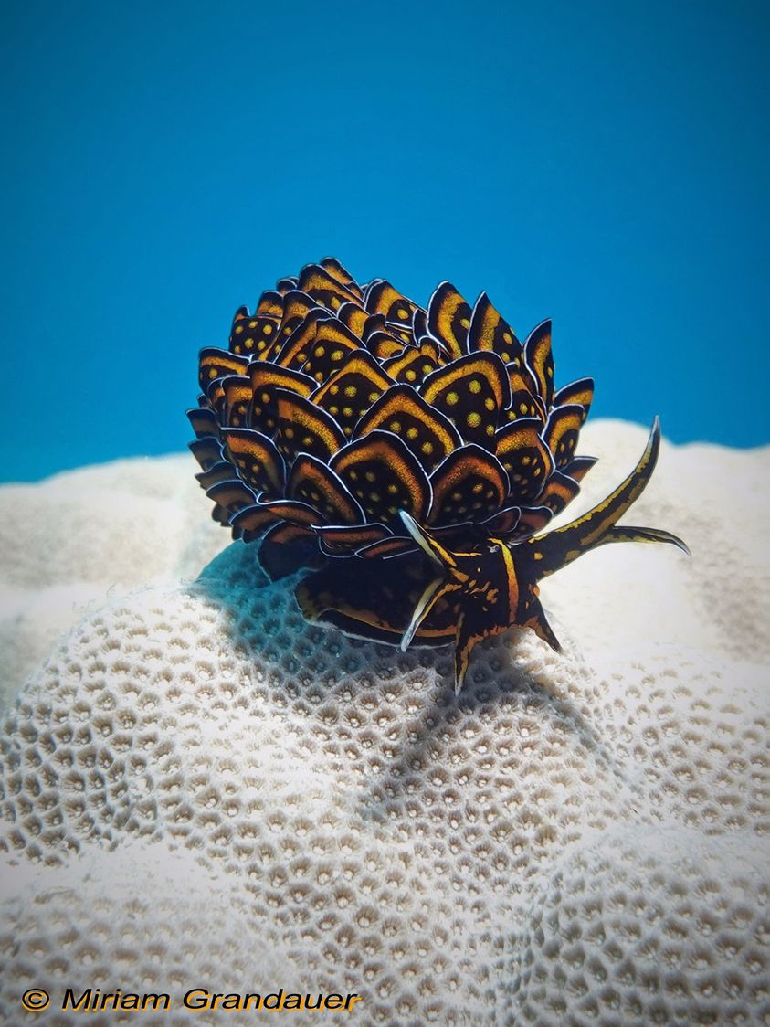 Big Bang Science tweet media