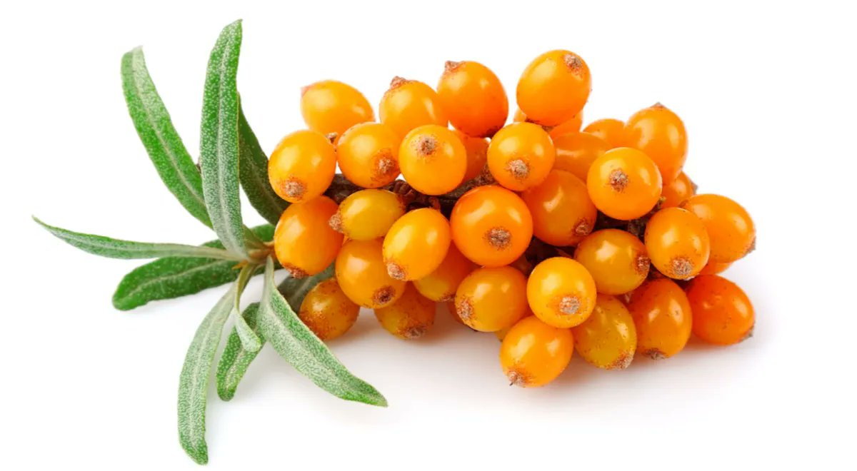 ✧ lightly illuga ♡´・ᴗ・`♡ tweet media