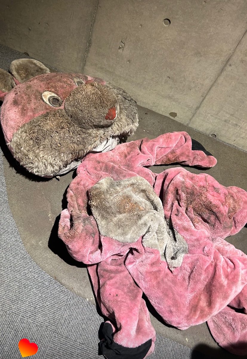 絶対天国 tweet media