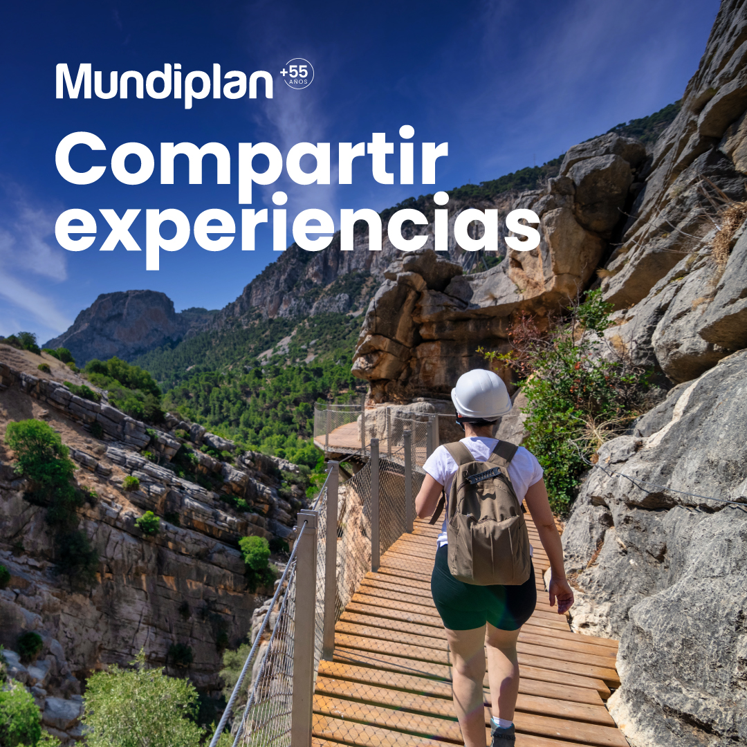 Mundiplan tweet media
