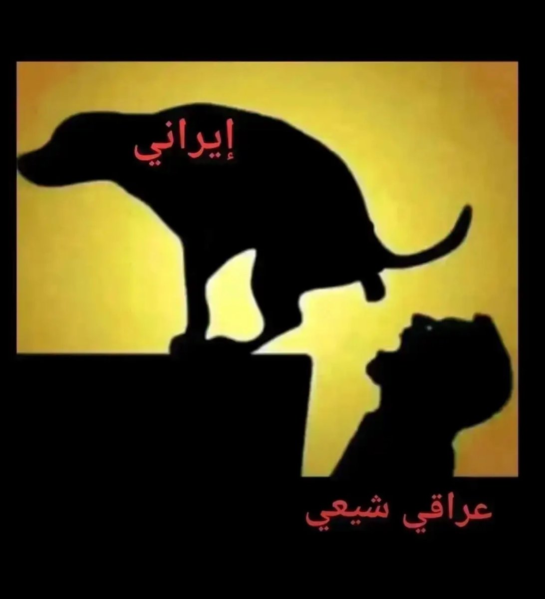 My Soul Color 🇸🇦 tweet media