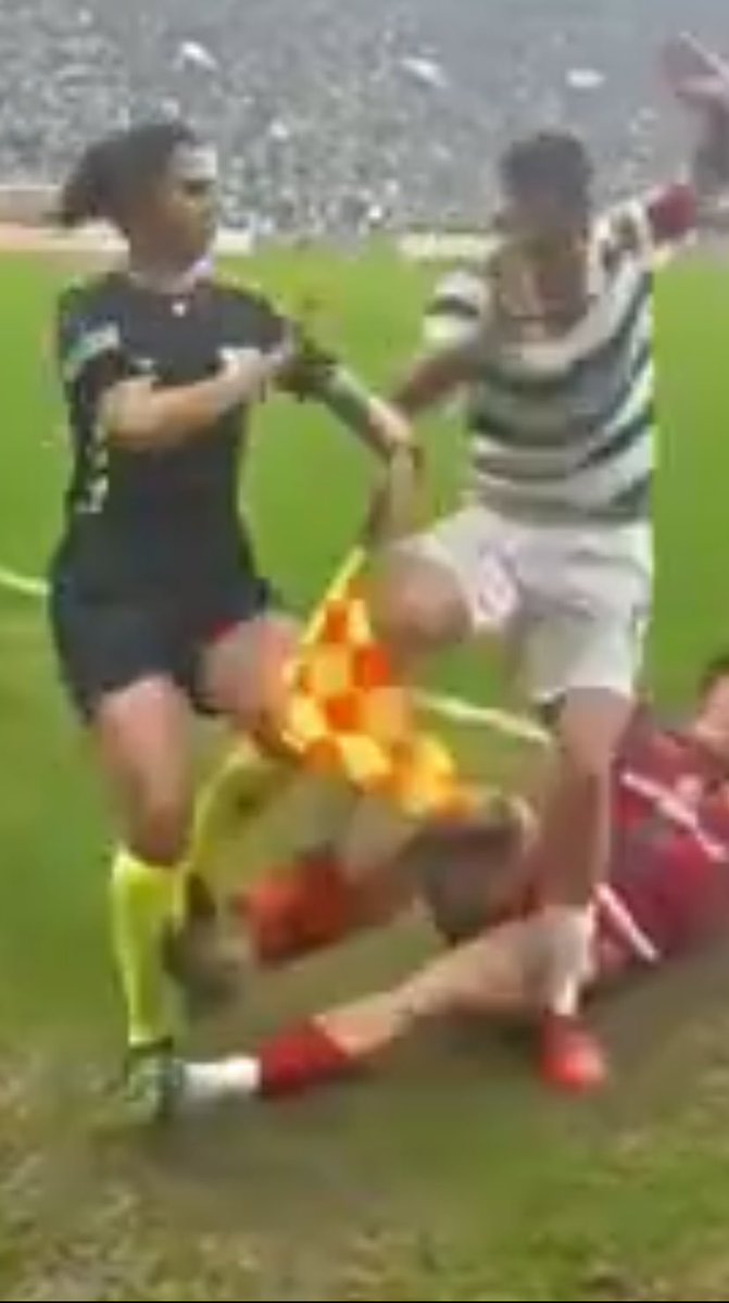 Rocksnake tweet media