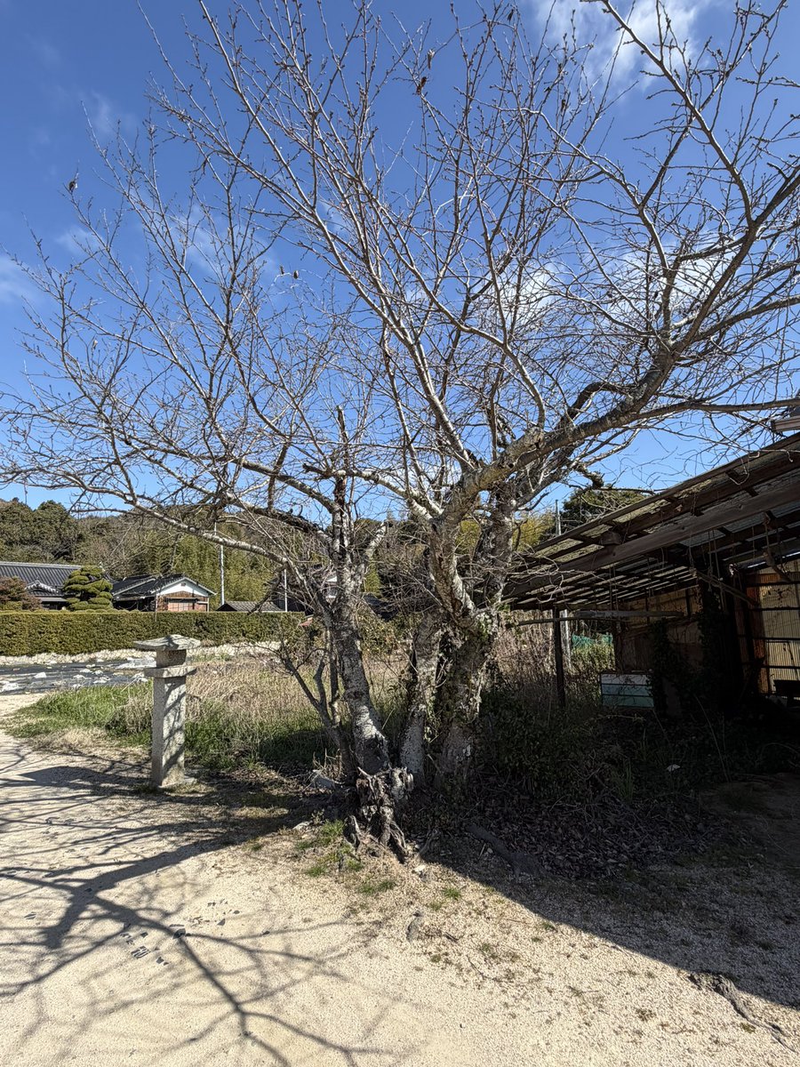 hiro🍥 tweet media