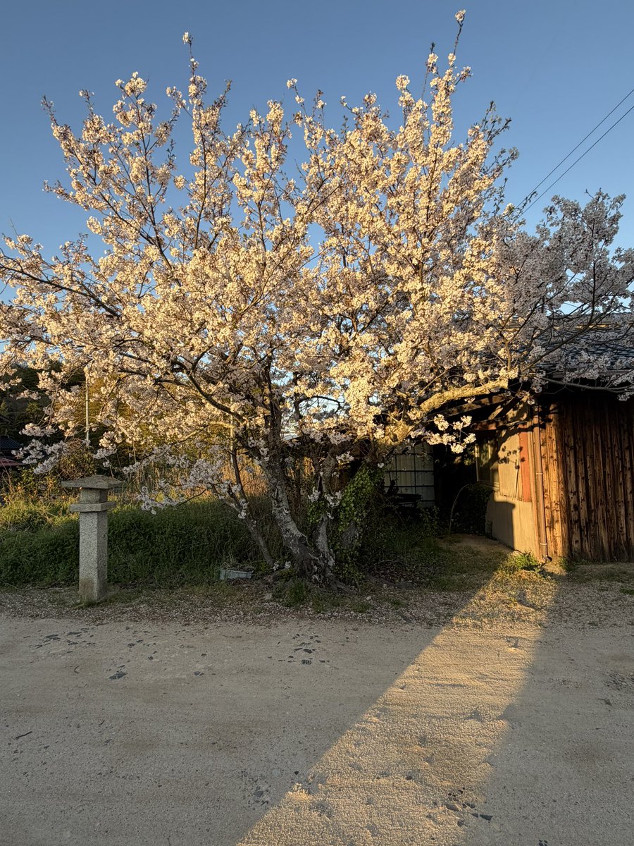 hiro🍥 tweet media