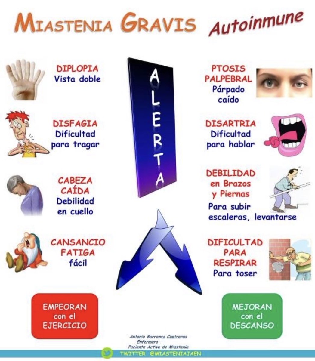 SINTOMAS-ALERTA en #miasteniagravis 
<a href="/PacientSemergen/">Pacientes SEMERGEN</a> <a href="/TodoPacientes/">Todo Pacientes</a> <a href="/ffpaciente/">Asociación FFPaciente</a> <a href="/semfyc/">semFYC</a> <a href="/RarasReales/">Raras pero Reales</a> <a href="/NoInvisibles/">RarasNoInvisibles</a> <a href="/Federacion_ASEM/">Federación ASEM</a>  
<a href="/FEDER_ONG/">FEDER | Enfermedades Raras</a> <a href="/PacienteActivo/">Paciente Activo</a> #miastenia <a href="/conectapaciente/">Conectando Pacientes</a> <a href="/pacienteseguro/">Paciente empoderado</a> #enfermeria <a href="/fep_pacientes/">Foro Español de Pacientes</a> <a href="/los_pacientes/">Los Pacientes Importan</a> <a href="/somos_pacientes/">Somos Pacientes</a> <a href="/Elmedicoint/">El Médico Interactivo</a>