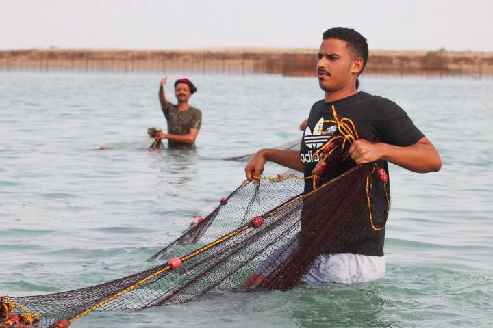 إمارة منطقة جازان tweet media