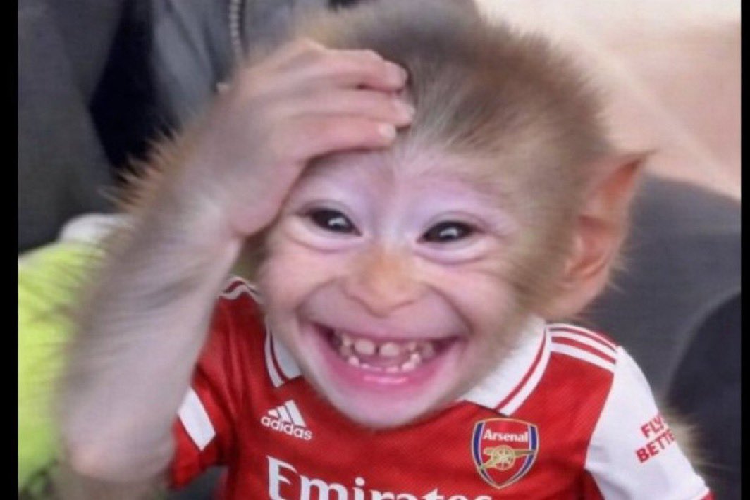 lobistars🇳🇬 tweet media